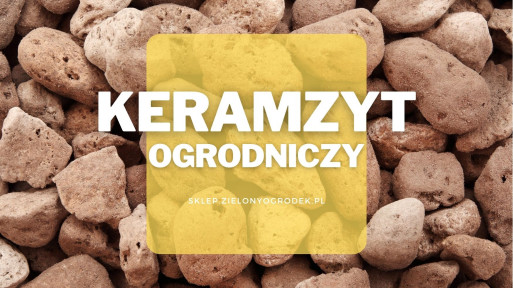 Keramzyt ogrodniczy | Jaki wybrać i gdzie kupić?