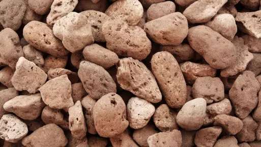 Keramzyt ogrodniczy | Jaki wybrać i gdzie kupić?