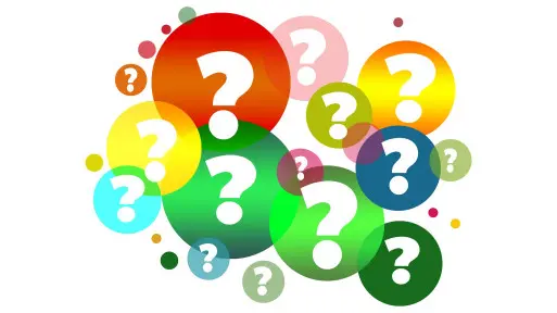 Quiz – czy znasz te terminy ogrodnicze?