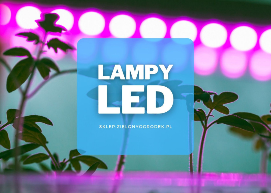 Lampy LED do uprawy roślin - sztuczne oświetlenie