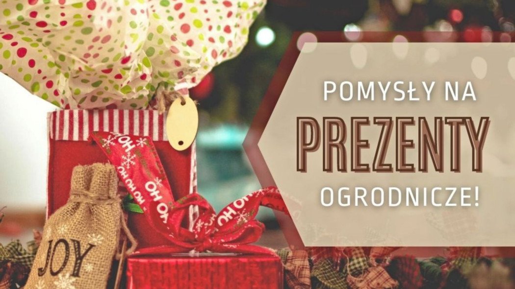 Pomysły na gwiazdkowe prezenty dla ogrodników Prezentownik 2021