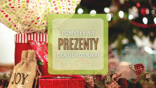 Pomysły na gwiazdkowe prezenty dla ogrodników | Prezentownik 2021