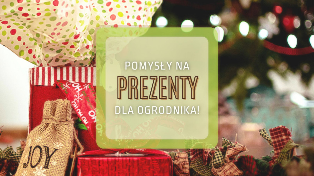 Pomysły na gwiazdkowe prezenty dla ogrodników Prezentownik 2021