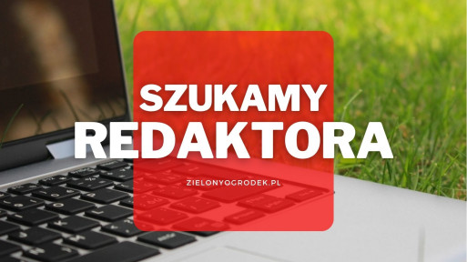 Praca w redakcji portalu ZielonyOgrodek.pl