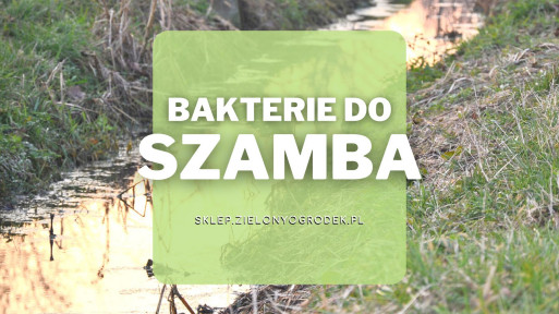 Bakterie do szamba | Jakie wybrać i gdzie kupić?