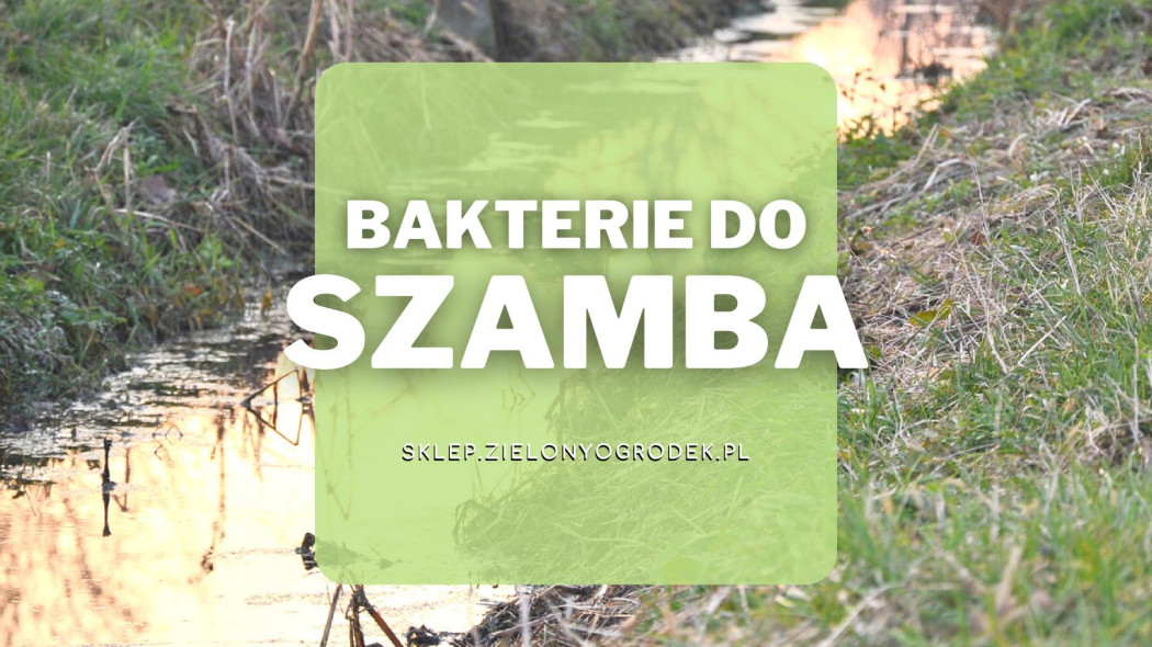 Bakterie do szamba, Sklep ZielonyOgrodek pl