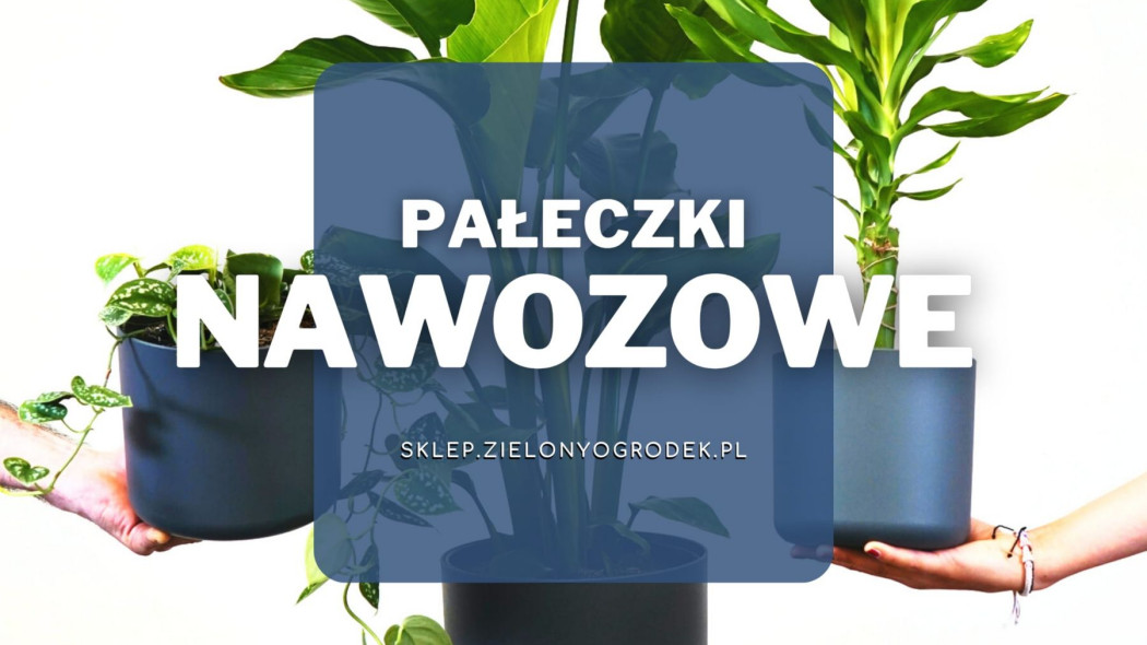 Pałeczki nawozowe owadobójcze do rośłin doniczkowych, fot. Severin Candrian - Unsplash