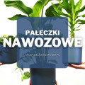 Pałeczki nawozowe | Jakie wybrać i gdzie kupić?