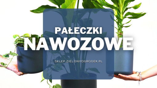 Pałeczki nawozowe | Jakie wybrać i gdzie kupić?