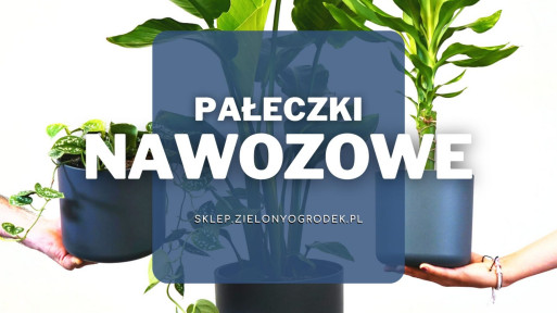 Pałeczki nawozowe | Jakie wybrać i gdzie kupić?