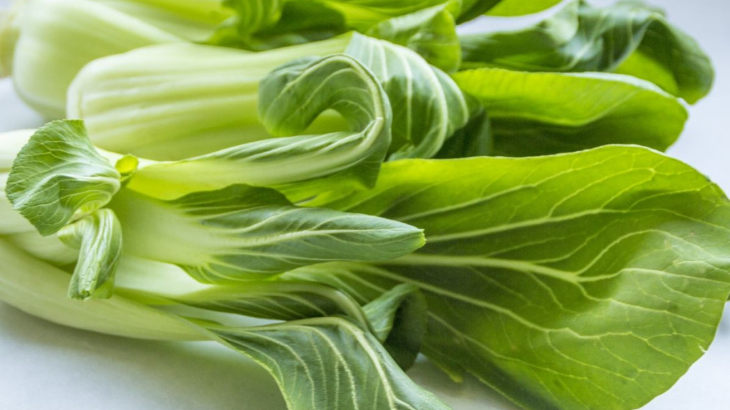 Kapusta chińska pak choi, fot. MetsikGarden - Pixabay