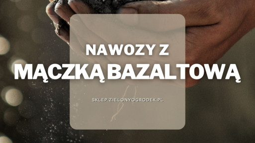 Nawozy z mączką bazaltową | Jakie wybrać i gdzie kupić?