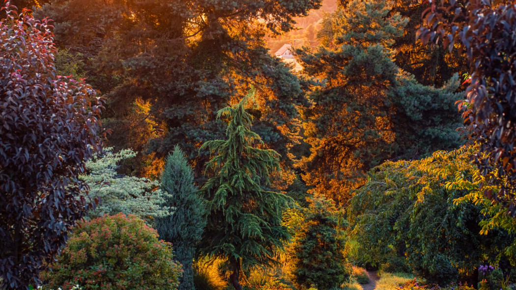 jesienne barwy Arboretum Wojsławice