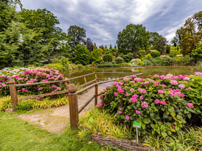 jesienne barwy Arboretum Wojsławice