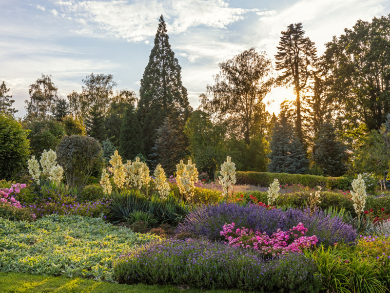 jesienne barwy Arboretum Wojsławice