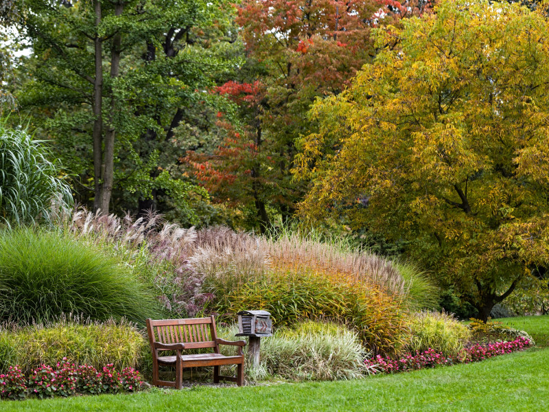 jesienne barwy Arboretum Wojsławice