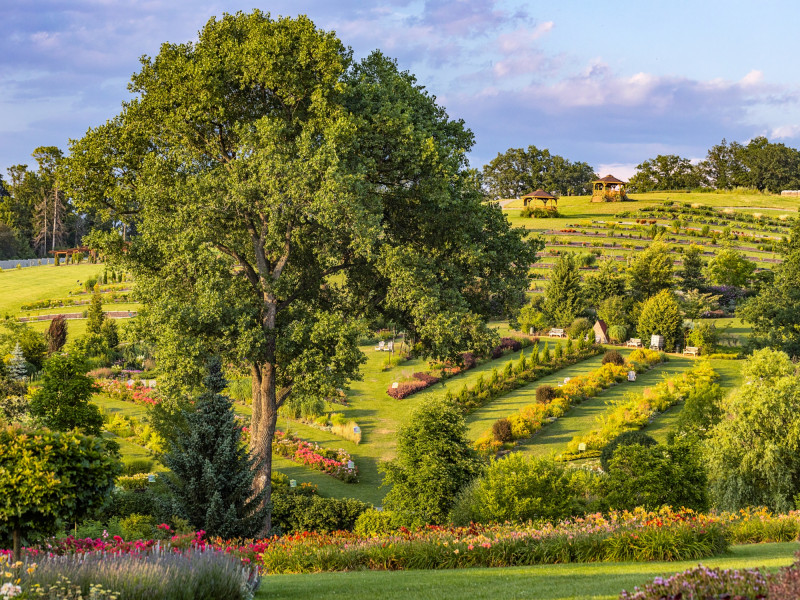 jesienne barwy Arboretum Wojsławice