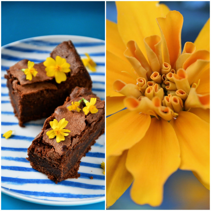 aksamitne smaki_przepis na brownie z aksamitkami