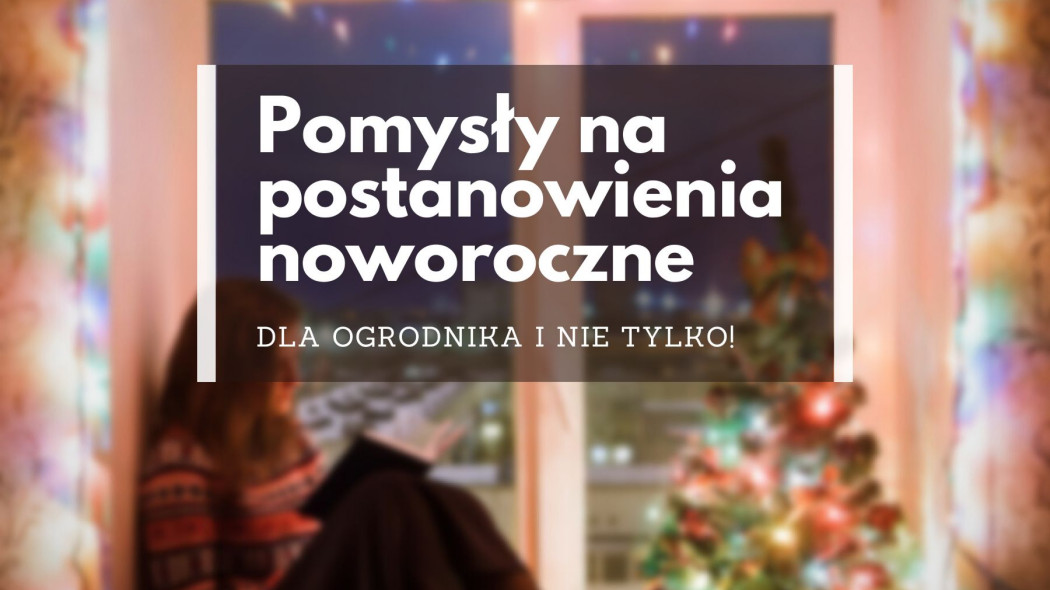 10 ogrodowych pomysłów na postanowienia noworoczne, fot. Pixabay