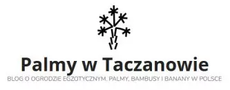 Blog o roślinach egzotycznych