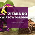 Ziemia do kwiatów ogrodowych | Jaką wybrać i gdzie kupić?