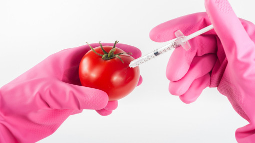 66 procent Polaków nie wie, co oznacza termin GMO