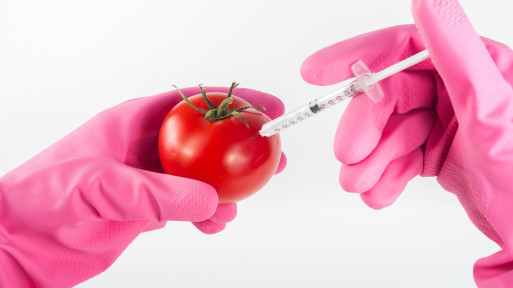 66 procent Polaków nie wie, co oznacza termin GMO