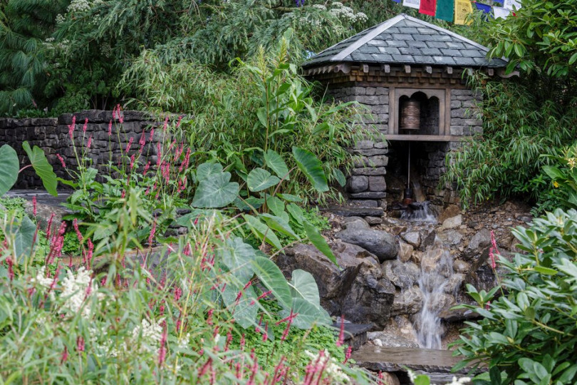 The Trailfinders’ 50th Anniversary Garden | Chelsea Flower Show 2021