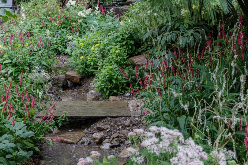 The Trailfinders’ 50th Anniversary Garden | Chelsea Flower Show 2021