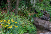 The Yeo Valley Organic Garden | Chelsea Flower Show 2021