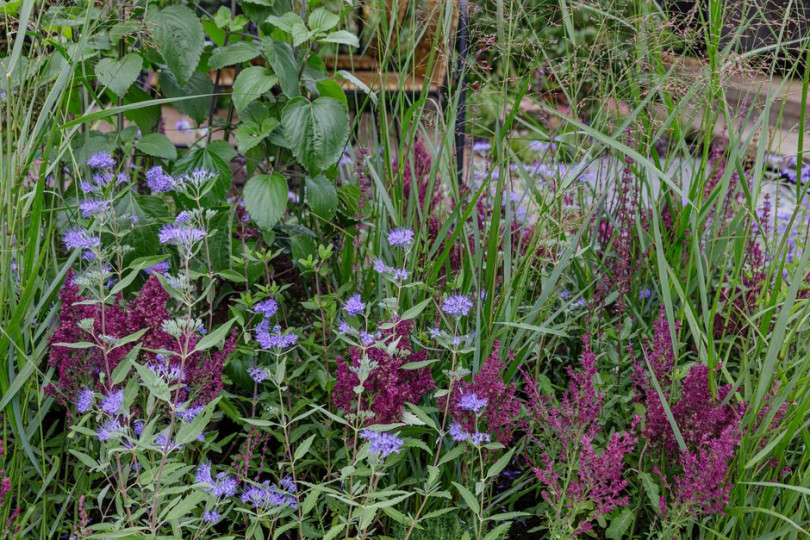 Finnish Soul Garden – A Nordic Heritage Seaside Garden | Chelsea Flower Show 2021