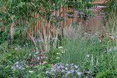 The Florence Nightingale Garden | Chelsea Flower Show 2021