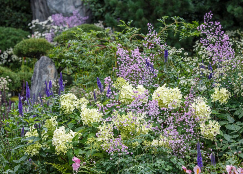 Bodmin Jail: 60° East – A Garden Between Continents | Chelsea Flower Show 2021 Bodmin Jail: 60° East – A Garden Between Continents | Chelsea Flower Show 2021