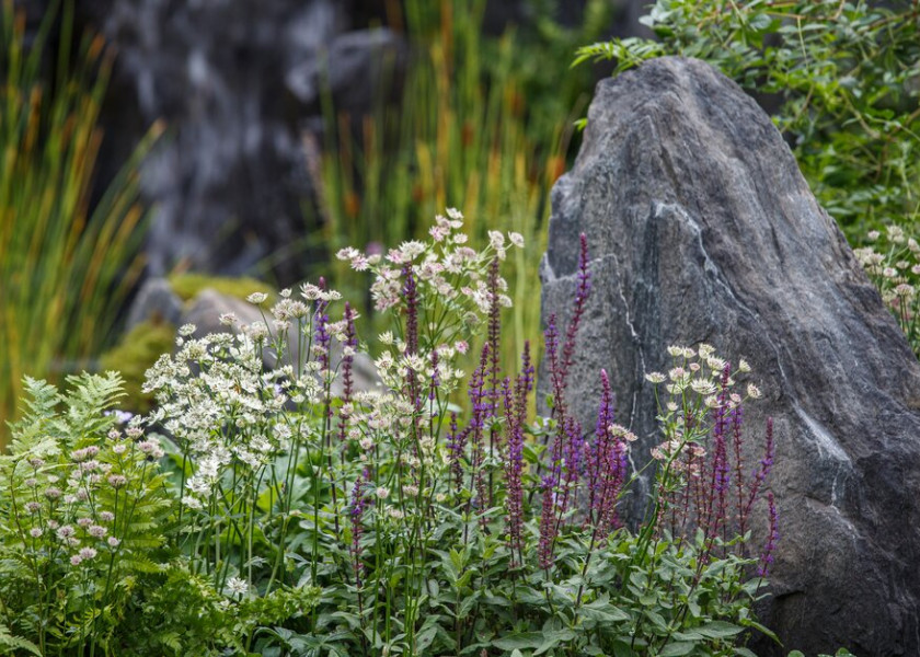 Bodmin Jail: 60° East – A Garden Between Continents | Chelsea Flower Show 2021 Bodmin Jail: 60° East – A Garden Between Continents | Chelsea Flower Show 2021