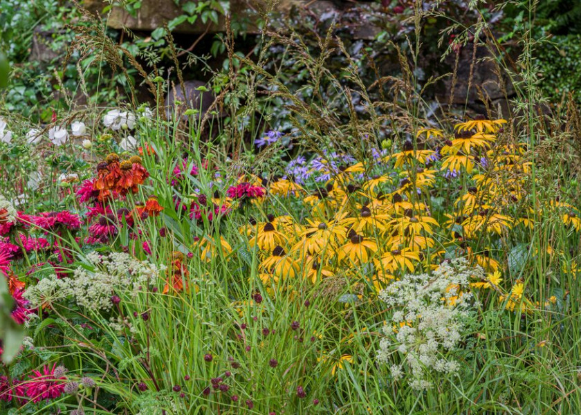 Guide Dogs’ 90th Anniversary Garden | Chelsea Flower Show 2021 Guide Dogs’ 90th Anniversary Garden | Chelsea Flower Show 2021