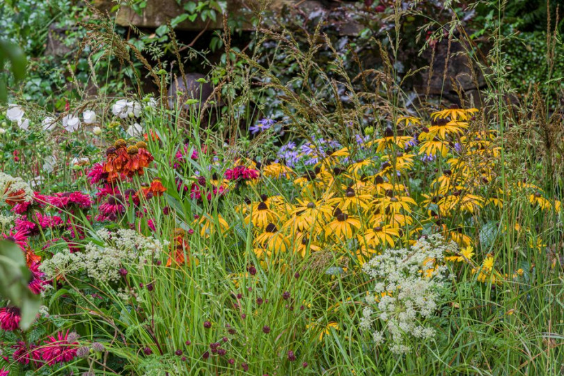 Guide Dogs’ 90th Anniversary Garden | Chelsea Flower Show 2021