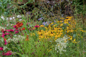 Guide Dogs’ 90th Anniversary Garden | Chelsea Flower Show 2021