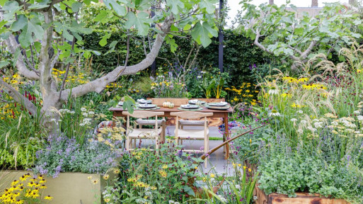 The Parsley Box Garden | Chelsea Flower Show 2021