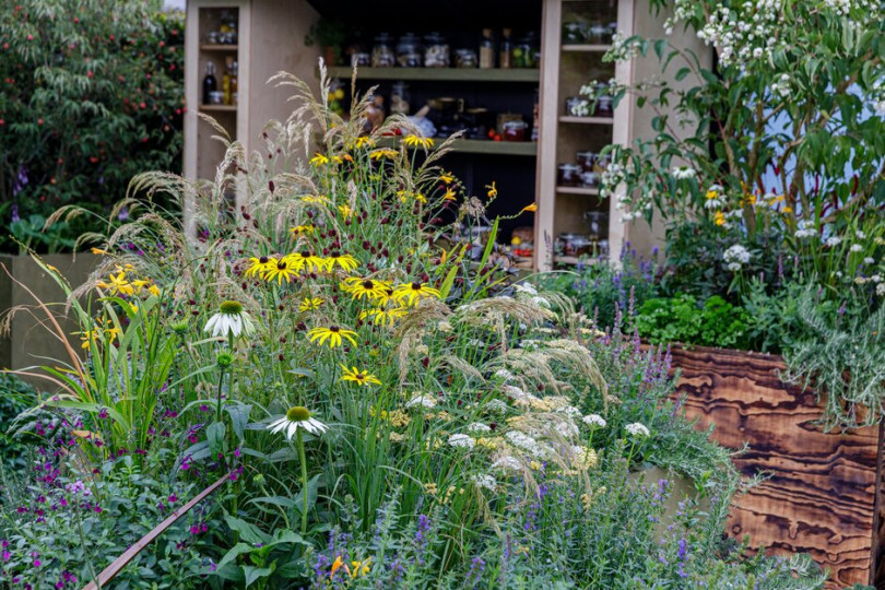 The Parsley Box Garden | Chelsea Flower Show 2021