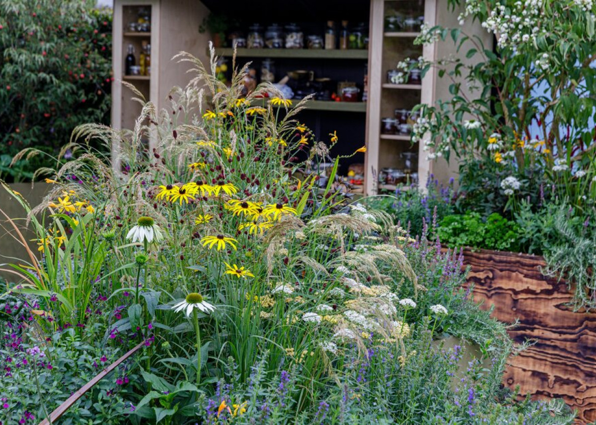 Wystawa Chelsea 2021 Sprawdź ogrody, które zdobyły nagrody! [GALERIA