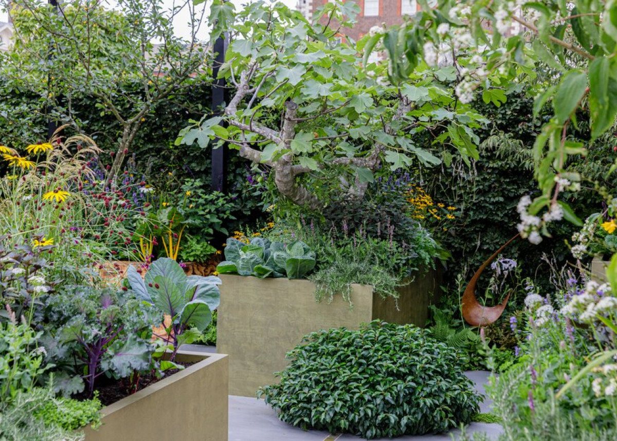 Wystawa Chelsea 2021 Sprawdź ogrody, które zdobyły nagrody! [GALERIA