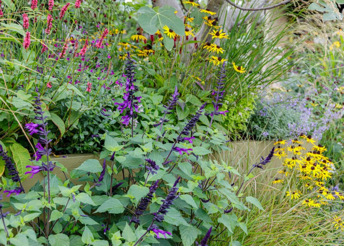 Wystawa Chelsea 2021 Sprawdź ogrody, które zdobyły nagrody! [GALERIA