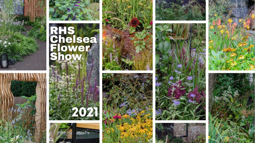 Najpiękniejsze ogrody na Wystawie Chelsea Flower Show 2021