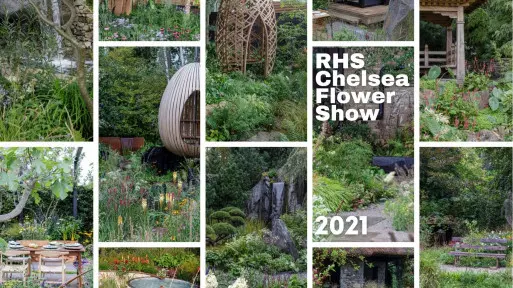 14 nagrodzonych ogrodów pokazowych na wystawie Chelsea Flower Show 2021
