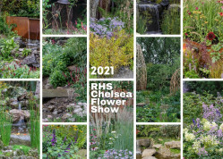 14 nagrodzonych ogrodów pokazowych na wystawie Chelsea Flower Show 2021