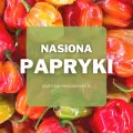 Nasiona papryki | Jakie wybrać i gdzie kupić?