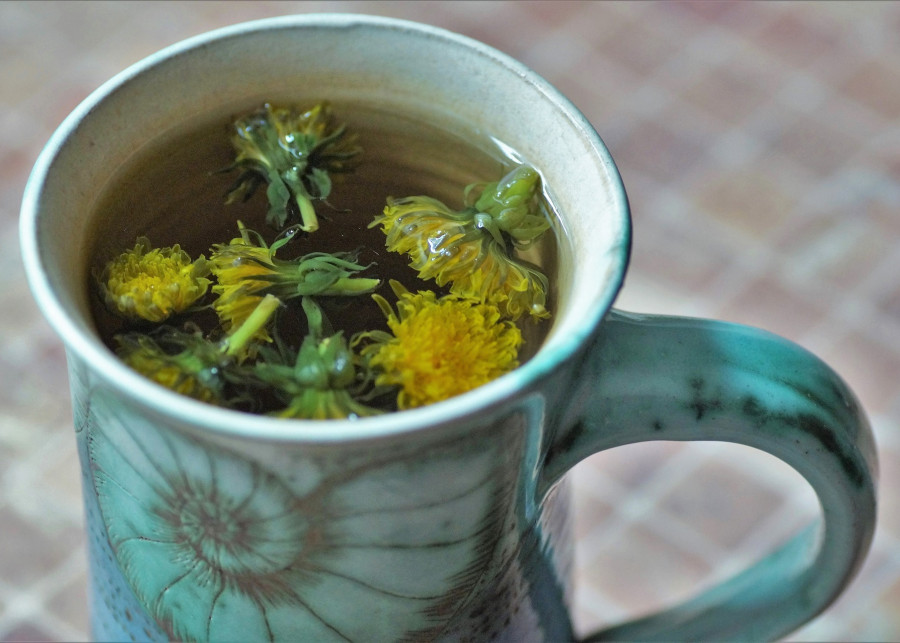 herbatka z kwiatów mniszka fot. ivabalk - Pixabay