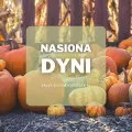 Nasiona dyni | Jakie wybrać i gdzie kupić? 