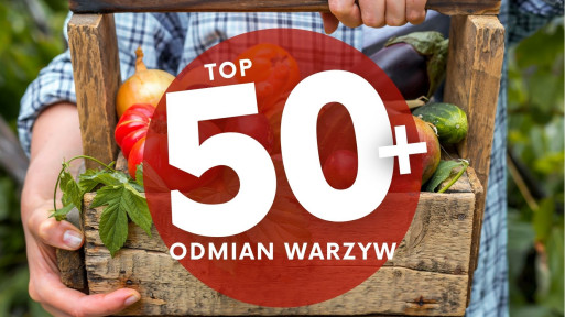 TOP 50+ odmian warzyw, które warto wysiać w ogrodzie!