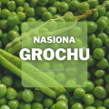 Nasiona grochu | Jakie wybrać i gdzie kupić?